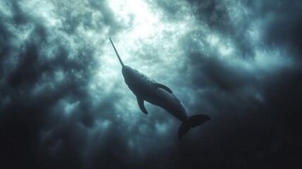 A narwhal swims in dark, cloudy ocean water.