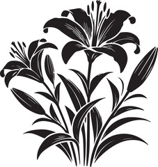 Black and white lily