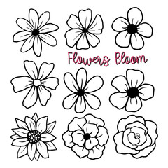 Black Line Doodle Flowers Bloom on White Background. Message ‘Flowers Bloom' Vector illustration about Nature.