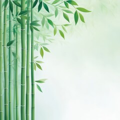 Fototapeta premium Bamboo forest, Asian scene, white fog