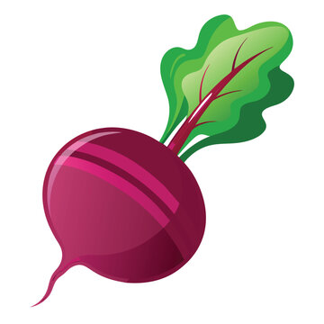 purple beet with green leaves clip art preview