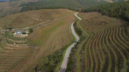 Aerial view of Vineyards in Douro valley - a unesco world heritage site in Portugal on a day with cloudy sky.