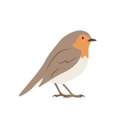 European robin cartoon clipart. Robin redbreast vector illustration in flat style. Hand-drawn wild animal concept