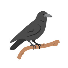 Crow cartoon clipart. Black raven or crow vector illustration in flat style. Hand-drawn wild animal concept