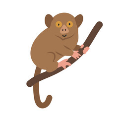 Philippine tarsier cartoon clipart. Prosimian tarsier vector illustration in flat style. Hand-drawn wild animal concept