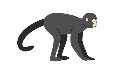 Spider monkey cartoon clipart. Spider monkey vector illustration in flat style. New World monkey. Hand-drawn wild animal concept