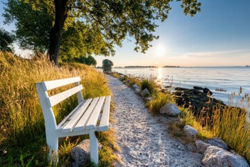 A peaceful walking trail along the IJsselmeer, with benches overlooking the water and trees providing shade