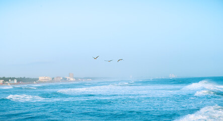 An intense swell reaches the beaches of Tampico. The waves of the Gulf of Mexico create a beautiful...