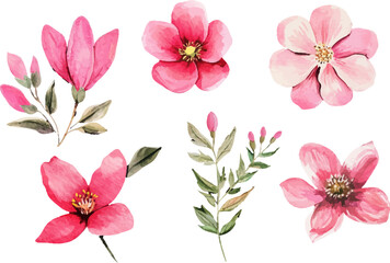 Modern Watercolor Spring Flowers