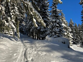 Wonderful winter hiking trails and traces in the fresh alpine snow cover of the Swiss Alps and over the tourist resort of Davos - Canton of Grisons, Switzerland (Kanton Graub&uuml;nden, Schweiz)
