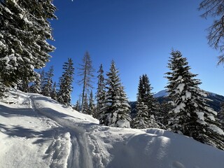 Wonderful winter hiking trails and traces in the fresh alpine snow cover of the Swiss Alps and over the tourist resort of Davos - Canton of Grisons, Switzerland (Kanton Graubünden, Schweiz)