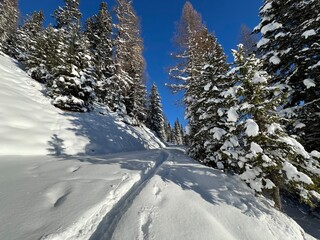 Wonderful winter hiking trails and traces in the fresh alpine snow cover of the Swiss Alps and over the tourist resort of Davos - Canton of Grisons, Switzerland (Kanton Graubünden, Schweiz)