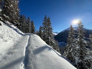 Fototapeta premium Wonderful winter hiking trails and traces in the fresh alpine snow cover of the Swiss Alps and over the tourist resort of Davos - Canton of Grisons, Switzerland (Kanton Graubünden, Schweiz)