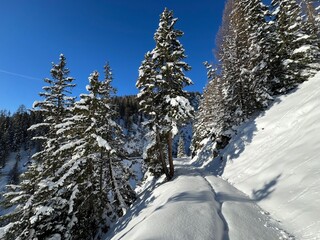Wonderful winter hiking trails and traces in the fresh alpine snow cover of the Swiss Alps and over the tourist resort of Davos - Canton of Grisons, Switzerland (Kanton Graubünden, Schweiz)