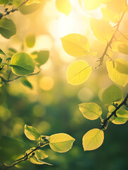 Sunlit Green Leaves with Warm Bokeh Effect Creating a Dreamlike Atmosphere : Generative AI