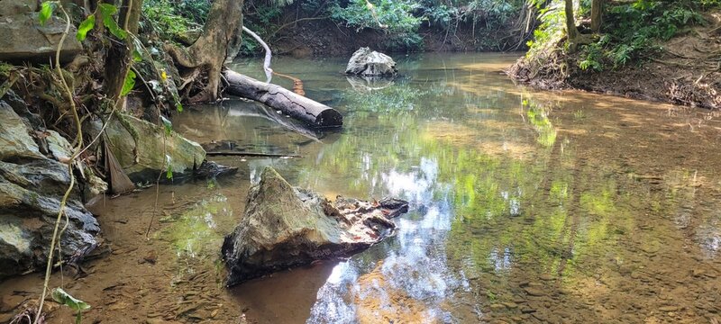 Naturaleza en espectro 