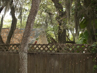squirrel on a fence