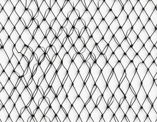 Fototapeta premium fence