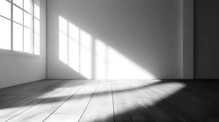 White wall and wood floor in empty room with sunlight