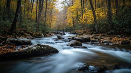 Serene Stream Flowing Through Autumnal Forest