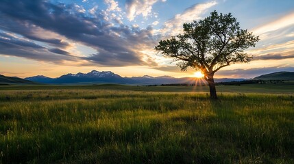 Majestic Sunset in Countryside Field with Solitary Tree and Mountains : Generative AI