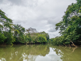 Fototapeta premium Río Frío - Los Chiles, Alajuela Province, Costa Rica
