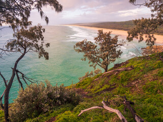 Coastal Morning with Trees on Headland