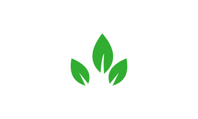 green leaf icon