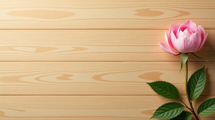 A Delicate Pink Rose on a Light Wooden Surface A Serene and Simple Composition