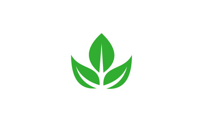 green leaf icon