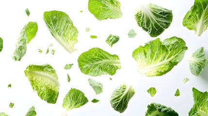 Falling Cabbage isolated on a white background