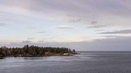 Tranquil Coastal View with Pine Trees and Calm Waters Under Subtle Sky