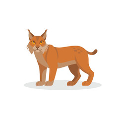 Lynx isolated flat vector illustration on white background.