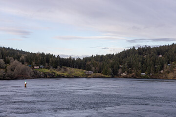Coastal Landscape of Gulf Islands with Forests and Calm Waters