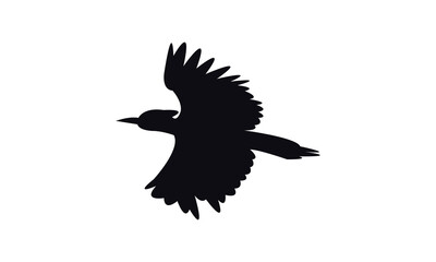 Obraz premium Flying Woodpecker Bird Silhouette Design And Vector Illustration. 