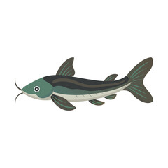 Silk Catfish fish isolated flat vector illustration on white background
