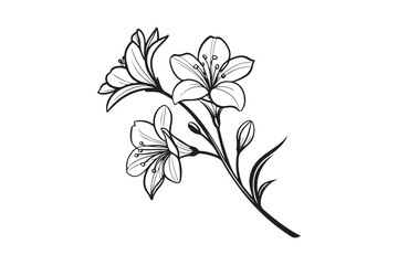 Tiny Flower silhouette vector illustration, Tiny Flower silhouette 