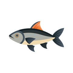  Taimen fish isolated flat vector illustration on white background.