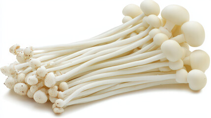 A beautiful display of enoki mushrooms, with slender stems and small caps, standing tall in a natural arrangement, isolated on a clean white background to showcase their elegance.

