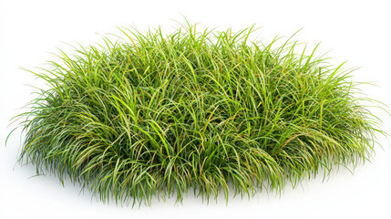 A lush patch of vibrant green grass, with long blades swaying gently as if in a light breeze. The grass should have a natural, healthy look, creating a fresh and inviting appearance.