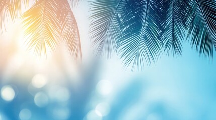 Tropical palm leaves backlit by sun, bokeh background.