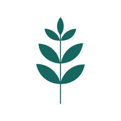 Abstract Organic Leaf Shape