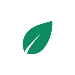 Abstract Organic Leaf Shape