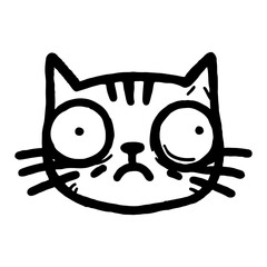 Funny Cat Face