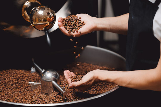 Closeup view of roasted coffee beans in mans hand. Food industry business coffeeshop - Powered by Adobe