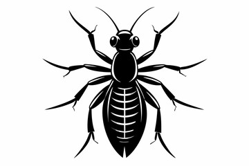 Termite silhouette illustration art. Silhouette termite animal full body black color only

