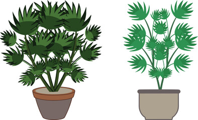 Stylish home decor plant in clay pot clipart. Vector illustration for interior design eco-friendly