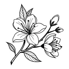 Stylish Iris Silhouette Illustrations, black and white flower 