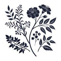 Set of different flowers, brunch and frames from flat editable stroke
