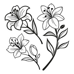 Abstract floral design element white illustration pattern with flowers